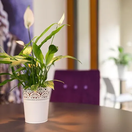 Modernes Am Neumarkt Dresde